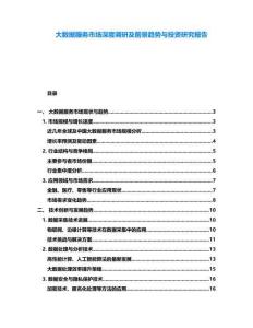 大數據服務市場深度調研及前景趨勢與投資研究報告