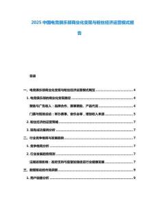 2025中國電競俱樂部商業化變現與粉絲經濟運營模式報告