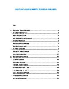 津巴布韋礦業供應鏈發展現狀投資評估分析研究報告