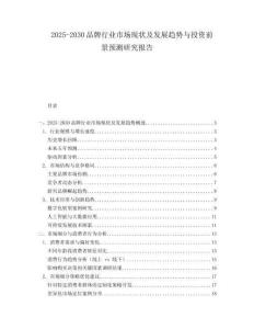 2025-2030品牌行業(yè)市場(chǎng)現(xiàn)狀及發(fā)展趨勢(shì)與投資前景預(yù)測(cè)研究報(bào)告
