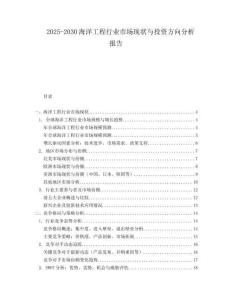 2025-2030海洋工程行業(yè)市場(chǎng)現(xiàn)狀與投資方向分析報(bào)告