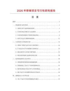 2026年轎架項目可行性研究報告