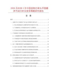 2026及未來5年中國金剛石單頭平面磨床市場分析及競爭策略研究報告