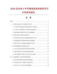 2026及未来5年羊剪绒虎皮床毯项目可行性研究报告