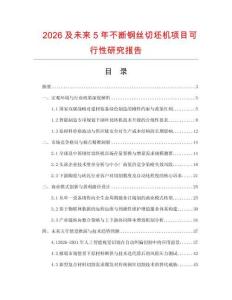 2026及未來5年不斷鋼絲切坯機項目可行性研究報告