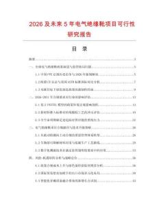 2026及未來5年電氣絕緣靴項目可行性研究報告