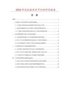 2026年雜色貼項目可行性研究報告