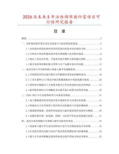 2026及未来5年活性棉布拔印浆项目可行性研究报告