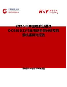 2025年中國橡膠促進劑DCBS(DZ)行業(yè)市場全景分析及前景機遇研判報告