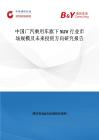 中國廣汽乘用車旗下SUV行業市場規模及未來投資方向研究報告