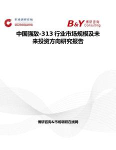 中國強敵-313行業市場規模及未來投資方向研究報告