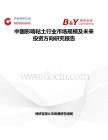 中國影響粘土行業(yè)市場規(guī)模及未來投資方向研究報告