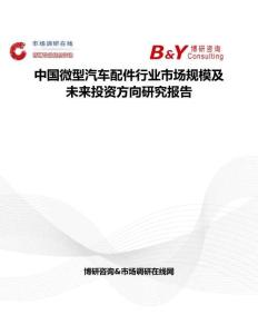 中國(guó)微型汽車配件行業(yè)市場(chǎng)規(guī)模及未來(lái)投資方向研究報(bào)告