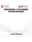中國快速滲透劑ot行業(yè)市場規(guī)模及未來投資方向研究報告
