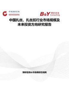 中國扎絲、扎絲扣行業市場規模及未來投資方向研究報告