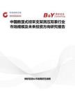 中國數(shù)顯式綜采支架測壓雙表行業(yè)市場規(guī)模及未來投資方向研究報告