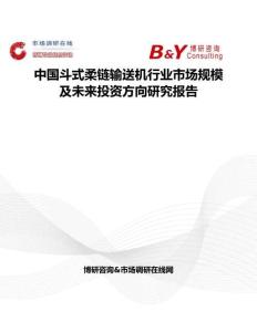 中國斗式柔鏈輸送機(jī)行業(yè)市場規(guī)模及未來投資方向研究報告