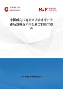 中國耐高壓有襯里消防水帶行業市場規模及未來投資方向研究報告