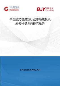 中國膜式省煤器行業市場規模及未來投資方向研究報告