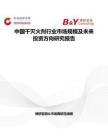 中國干滅火劑行業(yè)市場規(guī)模及未來投資方向研究報(bào)告