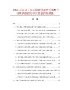 2026及未來5年中國噴錫加金手指板市場現狀數據分析及前景預測報告