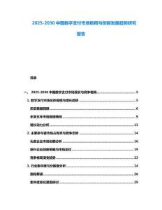 2025-2030中國數字支付市場格局與創新發展趨勢研究報告