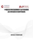 中国花纹有机玻璃板行业市场规模及未来投资方向研究报告