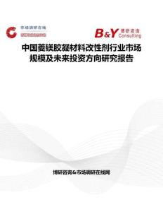 中国菱镁胶凝材料改性剂行业市场规模及未来投资方向研究报告