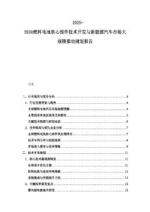 2025-2030燃料電池核心部件技術開發與新能源汽車市場大規模推動規劃報告