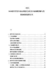 2025-2030軟件開發行業運營模式分析及市場規模預測與發展戰略規劃報告書