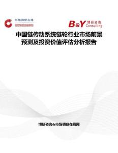 中國鏈傳動系統鏈輪行業市場前景預測及投資價值評估分析報告