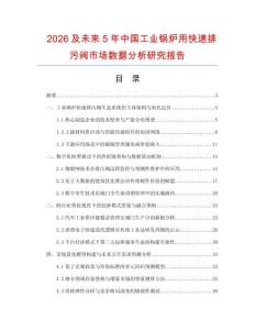 2026及未來5年中國工業鍋爐用快速排污閥市場數據分析研究報告