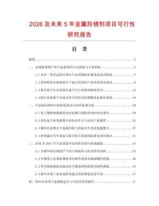 2026及未來5年金屬防銹劑項(xiàng)目可行性研究報(bào)告