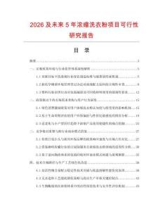 2026及未來5年濃縮洗衣粉項目可行性研究報告