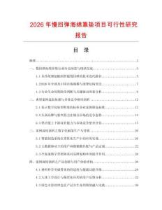 2026年慢回彈海綿靠墊項目可行性研究報告