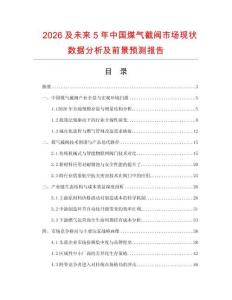 2026及未來5年中國煤氣截閥市場現狀數據分析及前景預測報告