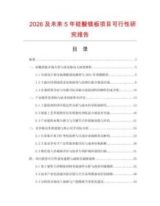 2026及未來(lái)5年硅酸鎂板項(xiàng)目可行性研究報(bào)告
