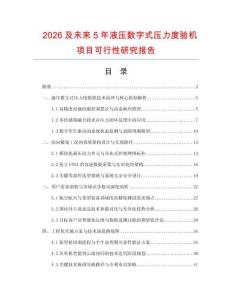 2026及未來5年液壓數字式壓力度驗機項目可行性研究報告