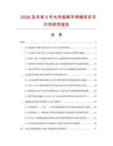2026及未来5年长夹板柄羊角锤项目可行性研究报告