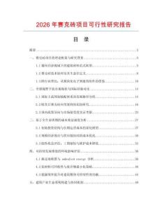 2026年賽克磚項目可行性研究報告