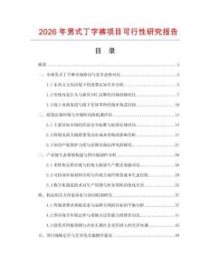 2026年男式丁字裤项目可行性研究报告