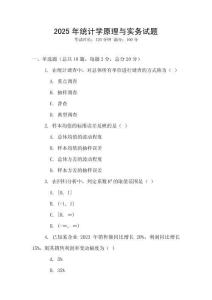 2025年統計學原理與實務試題