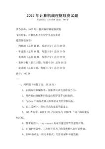 2025年计算机编程挑战赛试题