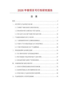 2026年銨項目可行性研究報告
