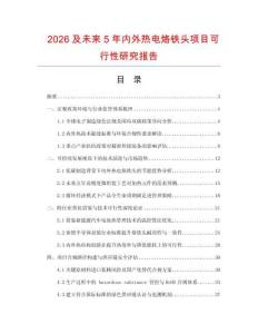 2026及未來5年內外熱電烙鐵頭項目可行性研究報告