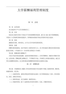 大学薪酬福利制度(全套)