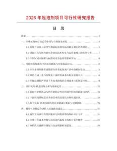 2026年起泡劑項目可行性研究報告