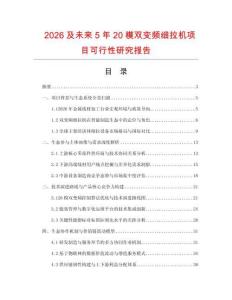 2026及未來5年20模雙變頻細拉機項目可行性研究報告