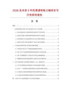 2026及未來5年防滑透明吸力碗項目可行性研究報告