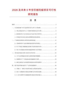 2026及未來5年空芯刨花板項目可行性研究報告
